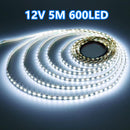 2835 12V 5M LED Strip Light Cool White 600LED 3