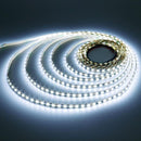2835 24V 10M LED Strip Light Cool White 1200LED 1
