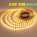 2835 24V 5M LED Strip Light Warm White 600LED 3