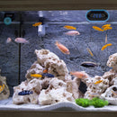 Digital Aquarium Thermometer