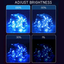 2M Smart LED String Lights RGBIC Strip 6