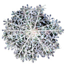 30PCS 11cm White Snowflakes Decorations Christmas Tree