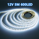 2835 12V 5M LED Strip Light Cool White 600LED
