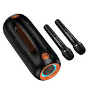 600W Bluetooth Party Speaker with 2 Wireless Microphones