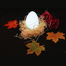 7 Colors Night Light
