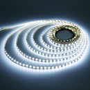 2835 24V 10M LED Strip Light Cool White 1200LED