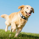 Smart Wireless Pet Tracker Tag w/ 9-12 Months Battery Life, Comfortable Collar