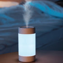 Humidifier LED Night Light Air Diffuser