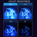 2M Smart LED String Lights RGBIC Strip