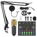BM800 Condenser Microphone Kit