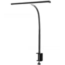 LED Desk Lamp