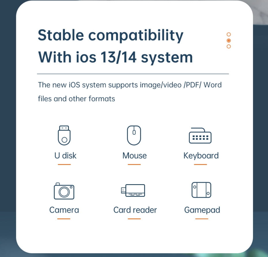 USB-A to iPhone Lightning Converter Adapter Support OTG