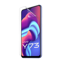 Vivo Y73 Hydrogel Screen Protector (Pack of 2)