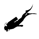 Atlantis Spring fin strap - Pair
