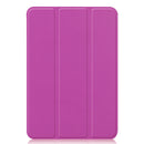 iPad Mini 6 Case (8.3" 2021)