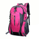 Backpack (Pink) 1