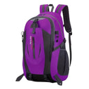 Backpack (Purple) Backpack