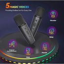 Bluetooth Singing Speaker Karaoke Player with 2 Wireless