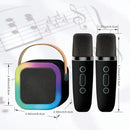 Bluetooth Singing Speaker Karaoke Player with 2 Wireless