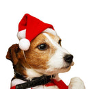 Dog Cat Christmas Costume Pet Decoration Hat & Scarf 1