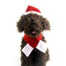 Dog Cat Christmas Costume Pet Decoration Hat & Scarf 4