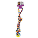 Dog Toy with Ball 3
