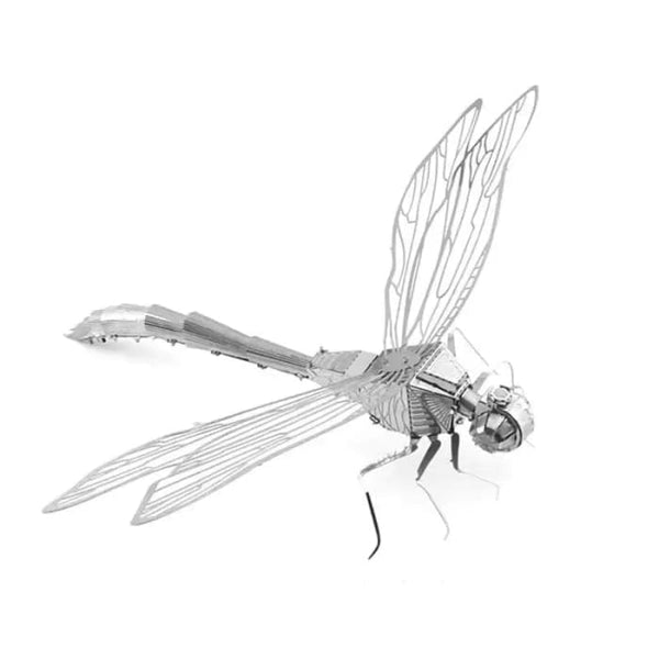 Dragonfly Tools & Models