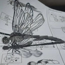 Dragonfly Tools & Models