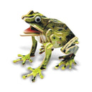Frog (illuminated) - 3D Puzzle