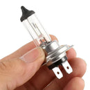 H7 12V Halogen Headlight Bulb - Tools & Kits (multipurpose)