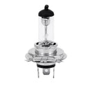 H7 12V Halogen Headlight Bulb - Tools & Kits (multipurpose)