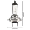 H7 12V Halogen Headlight Bulb (Pack of 2) - Tools & Kits