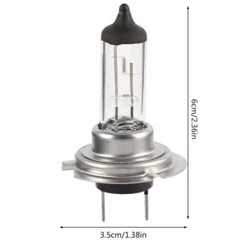H7 12V Halogen Headlight Bulb (Pack of 2) Tools & Kits