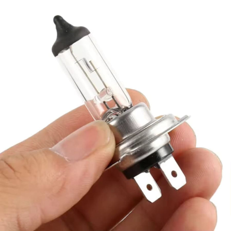 H7 12V Halogen Headlight Bulb (Pack of 2) Tools & Kits