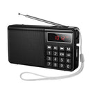 Hoco Mult Function Portable Radio with AM + FM Dual Mode 1