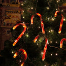 Holiday Christmas Xmas Candy Cane String Lights 1