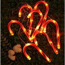 Holiday Christmas Xmas Candy Cane String Lights 2
