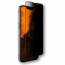 iPhone 13 Pro Max Anti Peep Spy Privacy Screen Protector 1