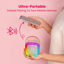 Karaoke Machine with 2 Microphones Bluetooth Speaker 2