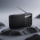 Mult Function Portable Radio with AM + FM Dual Mode 4