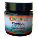 Plantago - Natural Remedy for Insect Bites and Stings 1