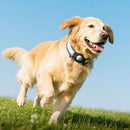 Smart Wireless Pet Tracker Tag w/ 9-12 Months Battery Life