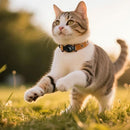Smart Wireless Pet Tracker Tag w/ 9-12 Months Battery Life