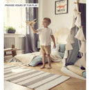 Spirit of St. Louis - 3D Puzzle