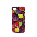 iPhone 4/4s Case
